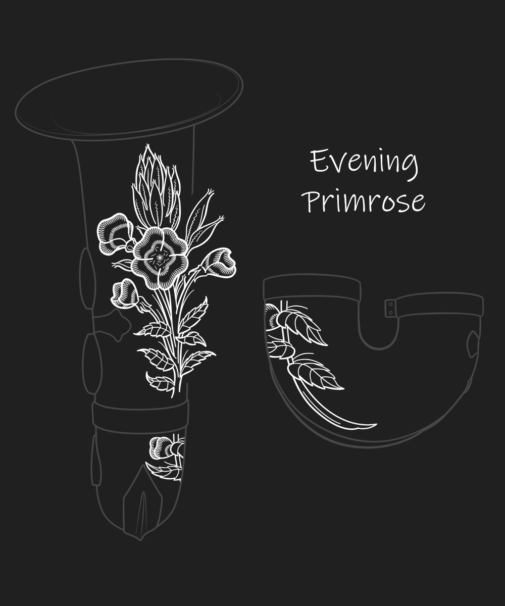 Evening Primrose Premium Engraving